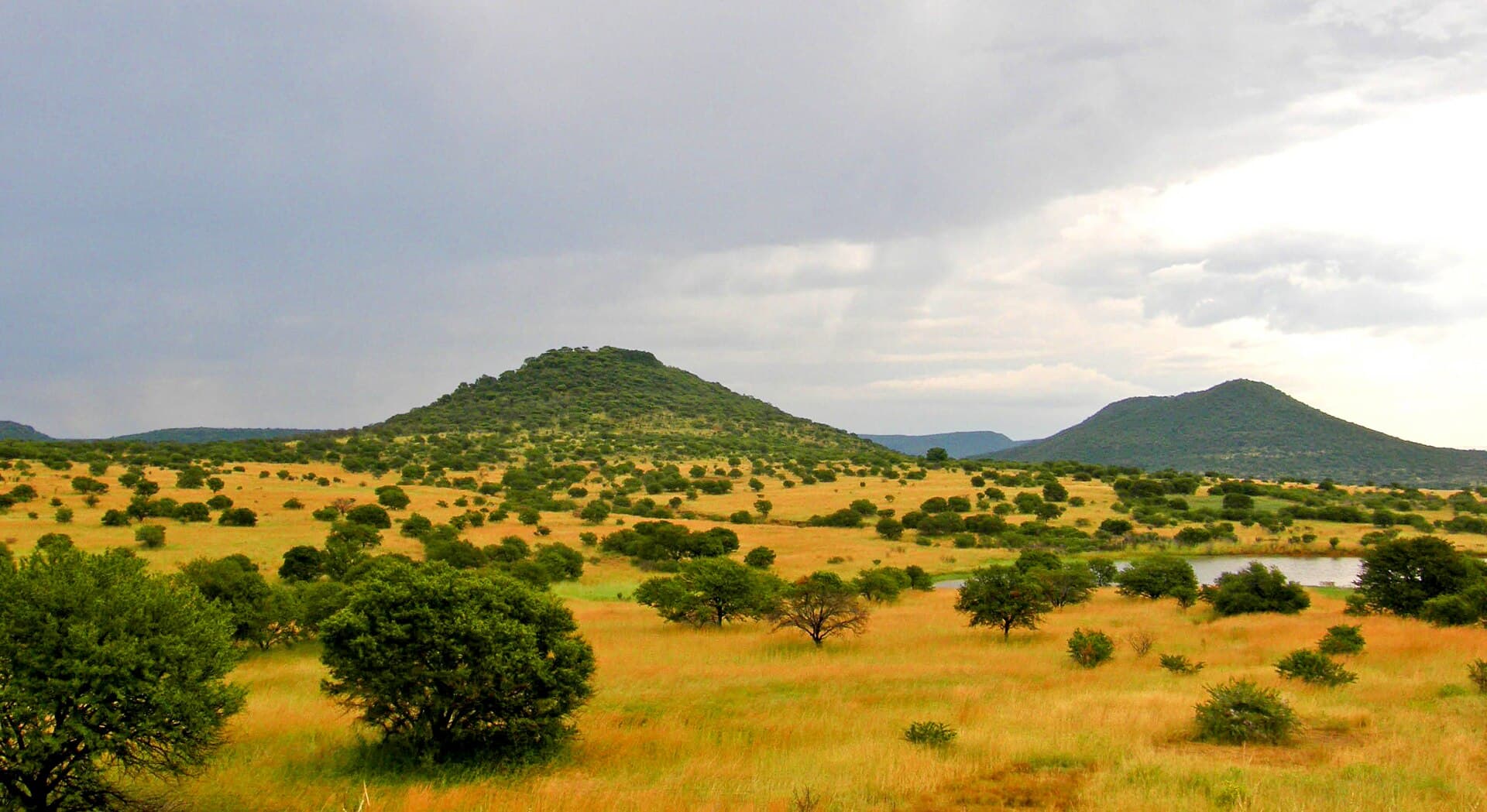 Upland savanna landscape in South Africa